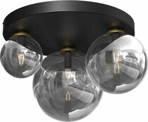 Milagro Ceiling lamp REFLEX 2xE14 + 1xE27 цена и информация | Потолочные светильники | hansapost.ee