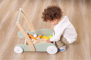 Viga PolarB 2in1 Walker Pusher цена и информация | Игрушки для малышей | hansapost.ee