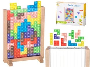 Puzzle tetrise pidev mäng hind ja info | Wooden toys Lelud | hansapost.ee