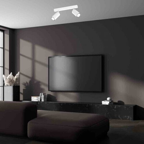 Milagro HUDSON WHITE 2xGU10 ceiling lamp price and information | Laelambid | hansapost.ee