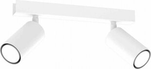 Потолочный светильник HUDSON WHITE 2xGU10 цена и информация | Потолочные светильники | hansapost.ee