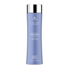 Taastav šampoon Alterna Caviar Restructuring Bond Repair, 250 ml hind ja info | Šampoonid | hansapost.ee