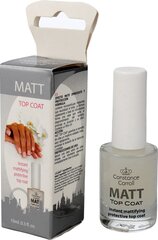 Küünehooldus matt pealislakk Constance Carroll CC, 10 ml price and information | Nail polishes and nail polish removers | hansapost.ee