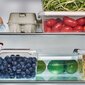 Orplast toiduainete säilitusmahuti Antibacterial, 500 ml цена и информация | Toiduainete säilitusnõud | hansapost.ee