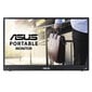 Asus ZenScreen 15.6" Full HD MB16AWP hind ja info | Monitorid | hansapost.ee