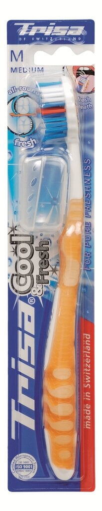 Keskmise kõvadusega hambahari Cool & Fresh Trisa, 1 tk hind ja info | Hambaharjad, hampapastad ja suuloputusvedelikud | hansapost.ee