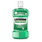 Suuvesi Listerine Fresh Burst 250 ml цена и информация | Hambaharjad, hampapastad ja suuloputusvedelikud | hansapost.ee