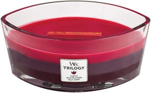 WoodWick ароматическая свеча Trilogy Sun Ripened Berries, 453.6 г цена и информация | Свечи, подсвечники | hansapost.ee