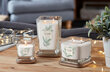 Lõhnaküünal Yankee Candle Arctic Frost 552 g цена и информация | Küünlad, küünlajalad | hansapost.ee