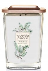 Ароматическая свеча Yankee Candle Arctic Frost 552 г цена и информация | Свечи, подсвечники | hansapost.ee