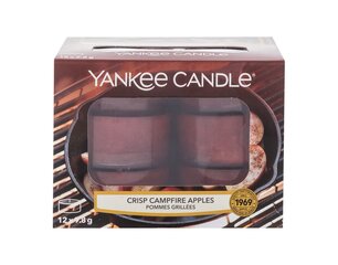 Lõhnaküünal Yankee Candle Crisp Campfire Apples 9,8 g, 12 tk. hind ja info | Küünlad, küünlajalad | hansapost.ee