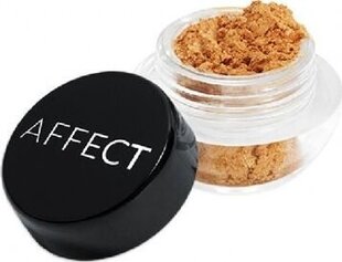 Lahtine lauvärv Affect Charmy Pigment, N-0130 Cinamon Touch, 2 g hind ja info | Affect Parfüümid, lõhnad ja kosmeetika | hansapost.ee