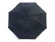 Vihmavari meestele Lutini 8213004, sinine цена и информация | Vihmavarjud meestele | hansapost.ee