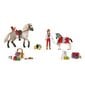 Advendikalender Schleich Horse Club 2022 a цена и информация | Mänguasjad poistele | hansapost.ee