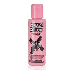 Kauapüsiv värv Crazy Color 002273 Nr 030, 00 ml цена и информация | Краска для волос | hansapost.ee