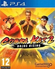 Видеоигры PlayStation 4 Just For Games Cobra Kai 2: Dojos Rising цена и информация | Компьютерные игры | hansapost.ee