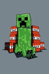 Jerry Fabrics детский плед Minecraft TNT 100x150 см цена и информация | Покрывала, пледы | hansapost.ee