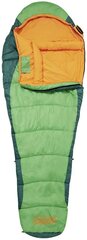 Спальный мешок Coleman Fision 200, зеленый цена и информация | Спальные мешки | hansapost.ee