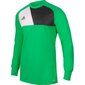 Väravavahisärk Adidas Assita 17 Junior, roheline hind ja info | Jalgpalli varustus ja riided | hansapost.ee