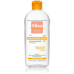 Puhastav mitsellaarpiim Mixa Hyalurogel, 400 ml hind ja info | Mixa Parfüümid, lõhnad ja kosmeetika | hansapost.ee