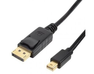 Sbox Cable, DP/mini DP, 2 m цена и информация | Кабели и провода | hansapost.ee
