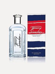 Tualettvesi meestele Tommy Hilfiger Tommy Summer Ocean Wave EDT, 100 ml hind ja info | Parfüümid meestele | hansapost.ee