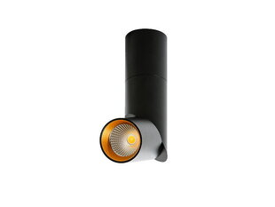 Потолочный светильник Azzardo Santos AZ2416 цена и информация | Потолочные светильники | hansapost.ee