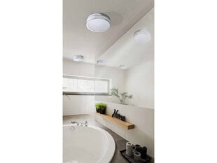 Потолочный светильник для ванной комнаты AZzardo Kari AZ2065 цена и информация | Потолочные светильники | hansapost.ee