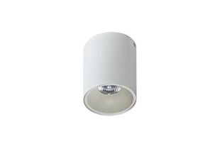 Потолочный светильник Azzardo Remo AZ0819 цена и информация | Потолочные светильники | hansapost.ee