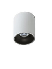 Потолочный светильник Azzardo Remo AZ0819 цена и информация | Потолочные светильники | hansapost.ee
