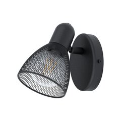 Настенный светильник Eglo Carovigno 98621 цена и информация | Настенные светильники | hansapost.ee