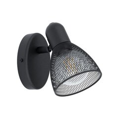 Настенный светильник Eglo Carovigno 98621 цена и информация | Настенные светильники | hansapost.ee