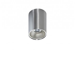 Потолочный светильник AZzardo Remo AZ0820 цена и информация | Потолочные светильники | hansapost.ee