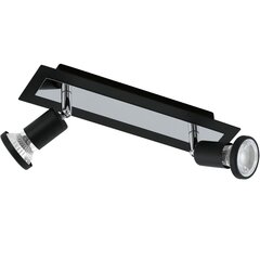 Потолочный светильник Eglo Sarria 94964 цена и информация | Потолочные светильники | hansapost.ee