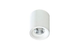 Потолочный светильник Azzardo Mane AZ2845 цена и информация | Потолочные светильники | hansapost.ee