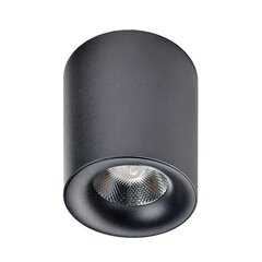 Потолочный светильник Azzardo Mane AZ2844 цена и информация | Потолочные светильники | hansapost.ee