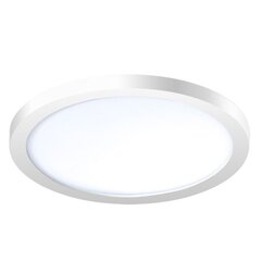 Süvistatav lamp AZzardo Slim AZ2842 hind ja info | Süvistatavad LED valgustid | hansapost.ee