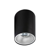 Потолочный светильник Azzardo Remo AZ0818 цена и информация | Потолочные светильники | hansapost.ee