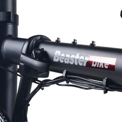 Beaster Scooter El. Велосипед BEASTER, BS17B цена и информация | Электровелосипеды | hansapost.ee