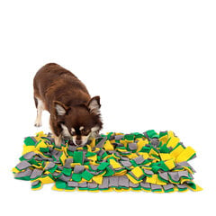 Lionto lõhnapõhine treeningmatt koertele, 50x34 cm hind ja info | Lionto Lemmikloomatarbed | hansapost.ee