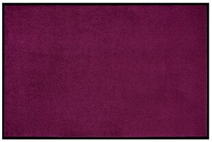 Дверной коврик Violet 60x80 см цена и информация | Придверные коврики | hansapost.ee