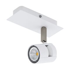 Настенный светильник Eglo Vergiano 82348854 цена и информация | Настенные светильники | hansapost.ee