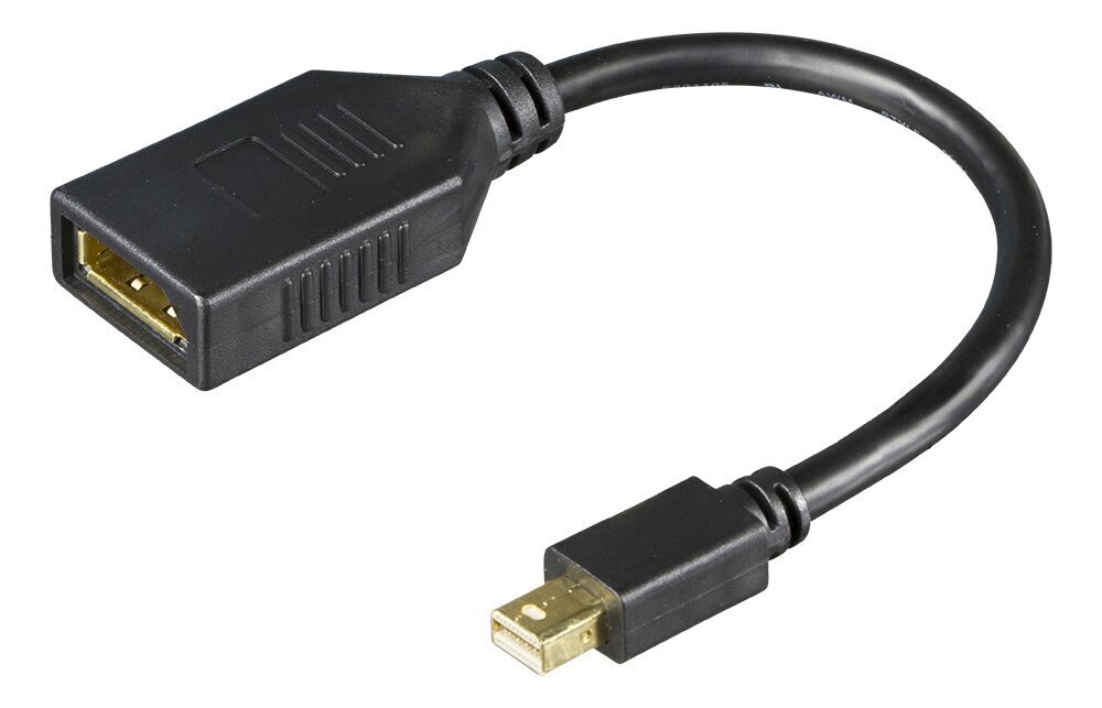 Deltaco mini DisplayPort adapter 4K UHD 60Hz, 0.2m, must / MDP-DP1-K / 00110028 цена и информация | USB adapterid ja jagajad | hansapost.ee