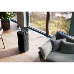 Õhupuhasti Electrolux PA91-604DG hind ja info | Electrolux Ventilatsiooni- ja kliimaseadmed | hansapost.ee