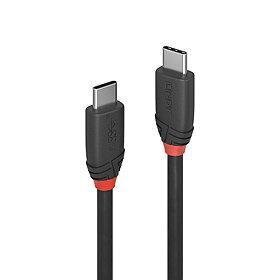 CABLE USB3.2 C-C 0.5M/BLACK 36905 LINDY цена и информация | Mobiiltelefonide kaablid | hansapost.ee