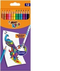 Цветные карандаши с ластиком Bic Kids Evolution Illusion, набор из 12 цветов цена и информация | Bic Товары для детей и младенцев | hansapost.ee