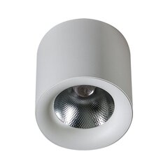 Потолочный светильник AZzardo Mane AZ4330 цена и информация | Потолочные светильники | hansapost.ee