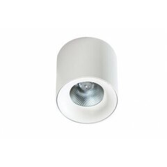 Потолочный светильник AZzardo Mane AZ4330 цена и информация | Потолочные светильники | hansapost.ee