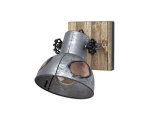 Настенный светильник Eglo Barnstaple 49648 цена и информация | Настенный светильник Конусы | hansapost.ee
