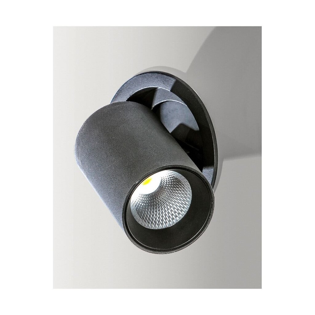 Süvistatav valgusti AZzardo Luna w dimm AZ2829 цена и информация | Süvistatavad LED valgustid | hansapost.ee